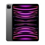 Apple Ipad Pro 11'' M2 Cellular 8GB 256GB