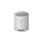 Sony SRS XB100 Portable Bluetooth Speaker